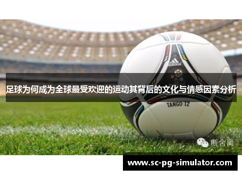 足球为何成为全球最受欢迎的运动其背后的文化与情感因素分析