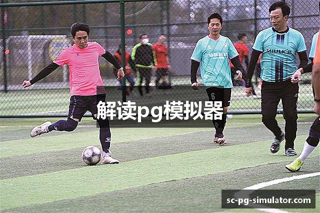 解读pg模拟器